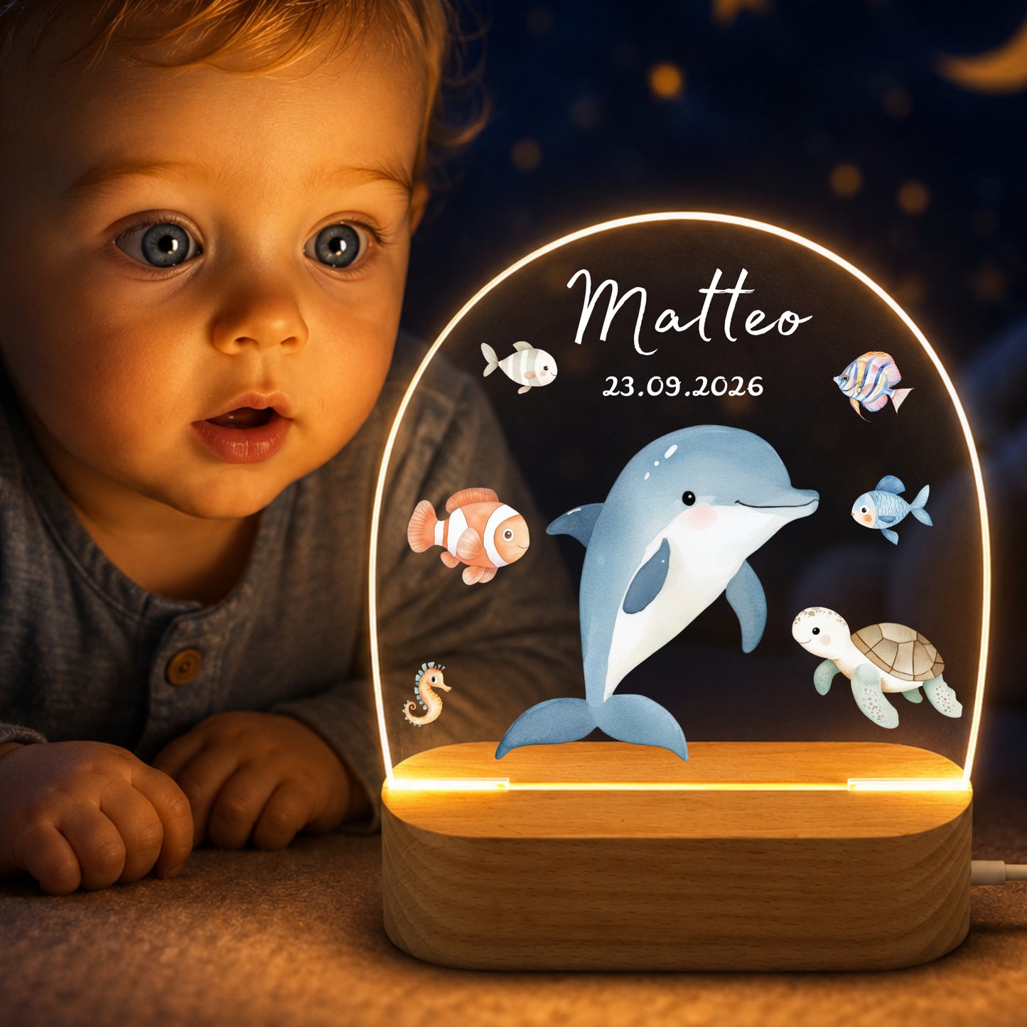Nachtlichter Meerestiere
